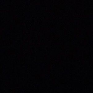 Meet your Posher, Rose